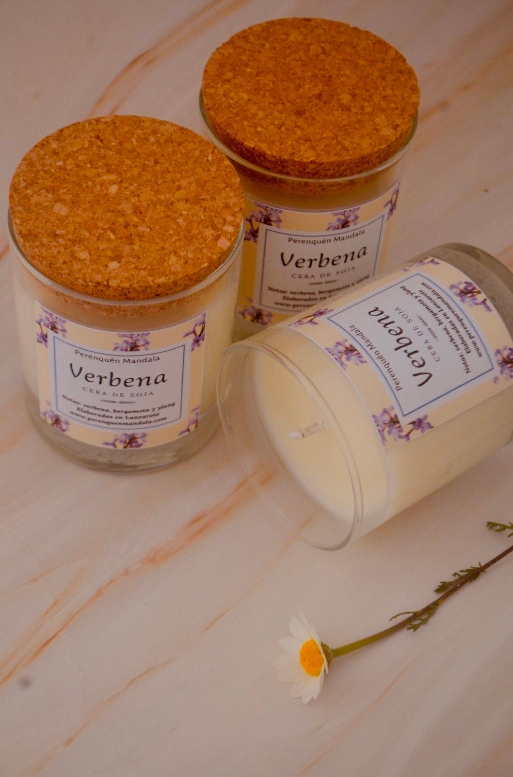 Vela Verbena